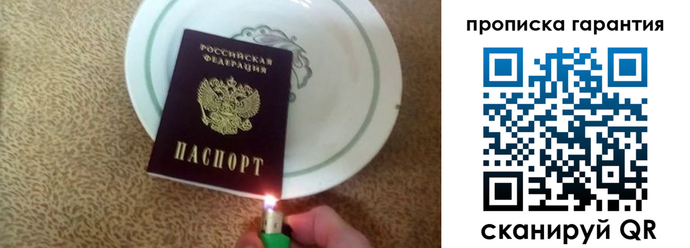 прописка гарантия в Елизово